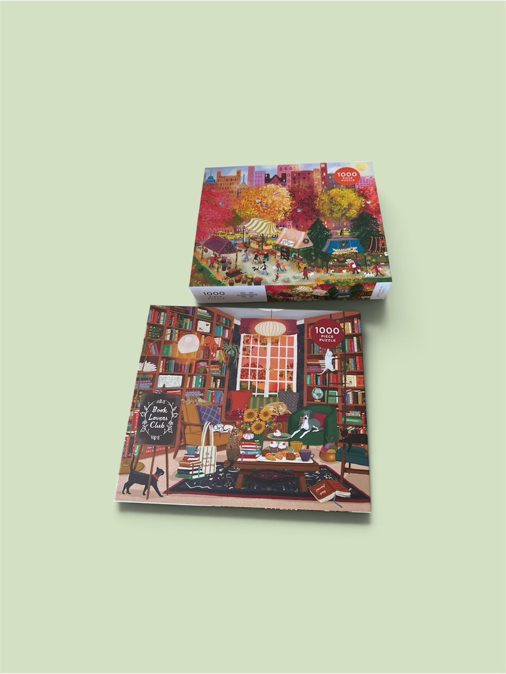 Illustrated Booklover Puzzle - Multi-Color